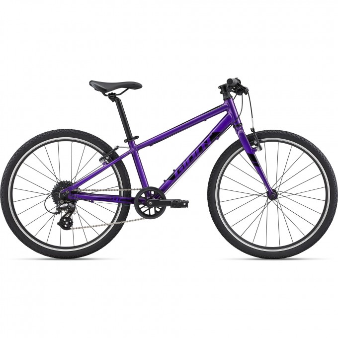 Велосипед детский GIANT ARX 24 (2021) фиолетовый 2204041 Велосипед детский GIANT ARX 24 (2021) фиолетовый 2204041
