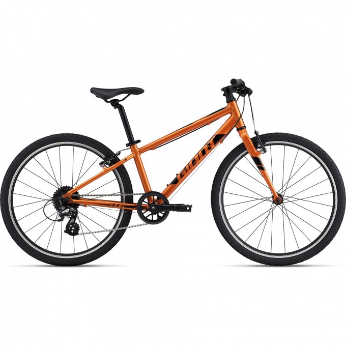 Велосипед детский GIANT ARX 24 (2021) metallic orange 2204041 Metallic Orange Велосипед детский GIANT ARX 24 (2021) metallic orange 2204041 Metallic Orange